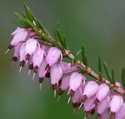 武汉街头,走着走着就怀孕了!-怀孕期