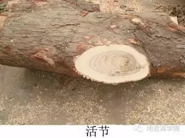 安心地板和大自然地板_宜華地板和大自然地板_大自然木地板經(jīng)銷商