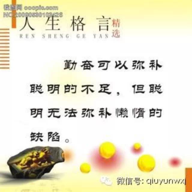 智者与愚者的48个差距