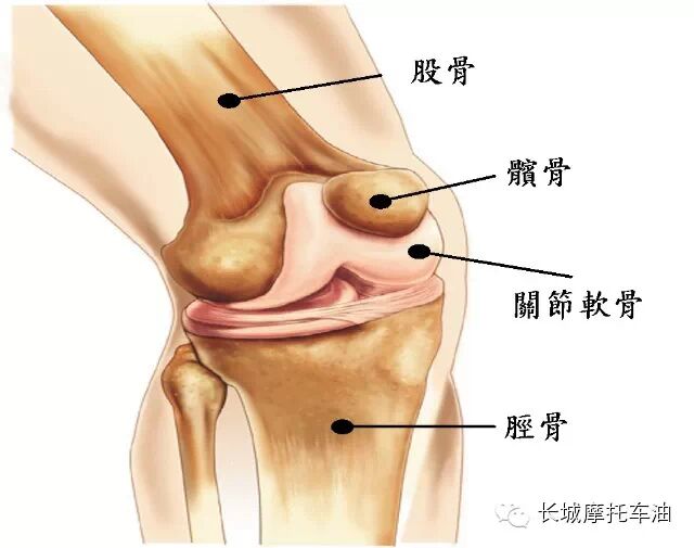 一个星期就可以让你的膝盖年轻10岁的动作 - shengge - 我的博客