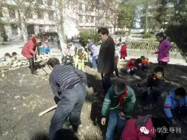 【新鲜关注】学校里的中草药园