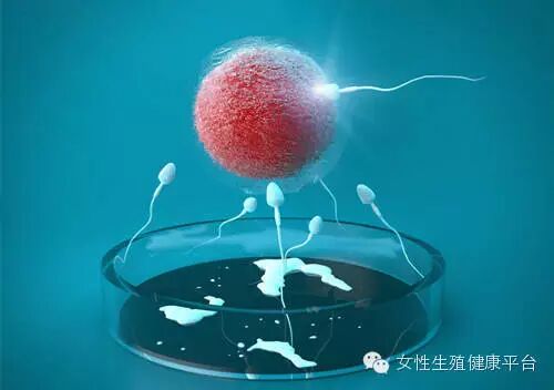 [网商爱华】子宫与健康----女人为了自己请收藏与分享！！ - 爱华 - 【网商爱华】王爱华老师