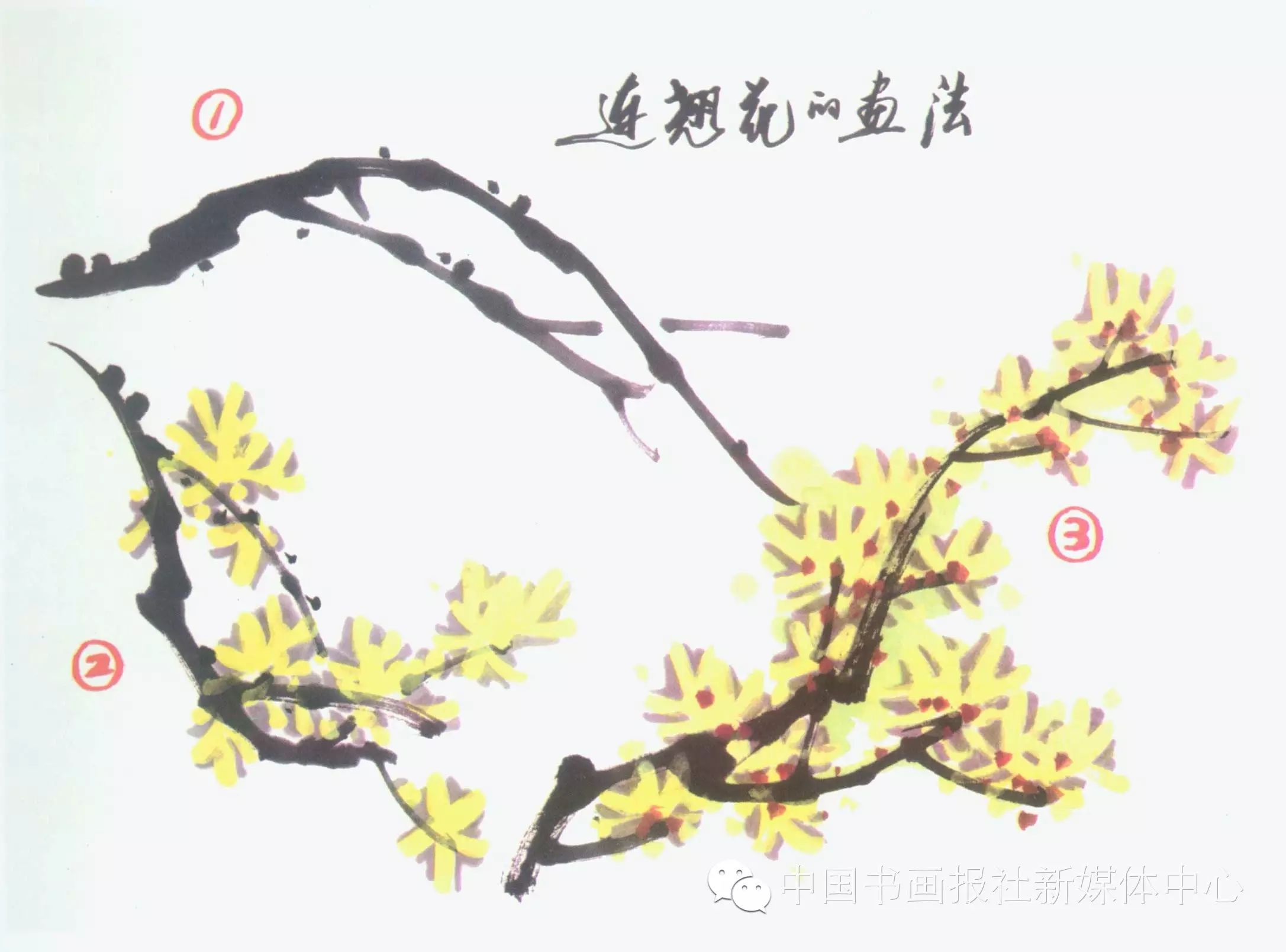 跟徐湛学国画-----连翘花的画法