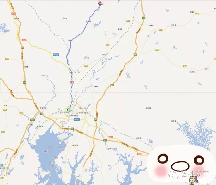 2015年最新钦州碗窑板城梨花谷旅游攻略、交通路线图、梨花实况