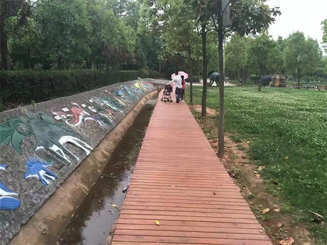 月季花开 恐龙园的另一种美