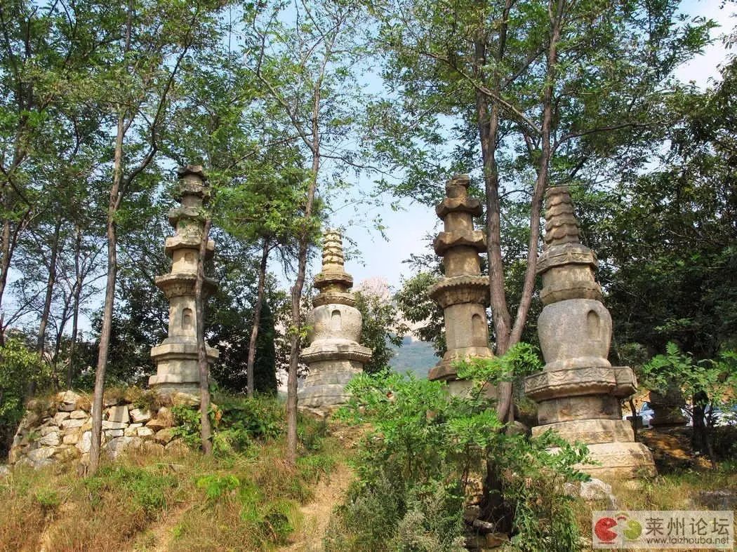 日照庵西侧,遍布碑碣,长达里许,多逾百计,此即著名的大泽山碑林,被誉