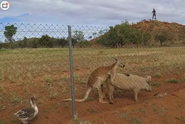 【掌上萍乡】笑多了会怀孕—5秒看懂的人,说明你好污-怀孕期