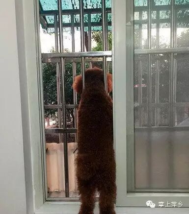 【掌上萍乡】笑多了会怀孕—这就是传说中的人鬼情未了吗!吓死宝宝了..-怀孕期