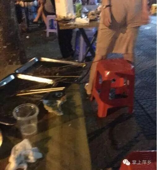 【掌上萍乡】笑多了会怀孕—去了一趟夏威夷回来,结果…-怀孕期