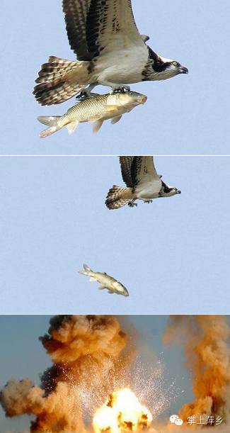 【掌上萍乡】笑多了会怀孕—雾霾天,我想呼吸点新鲜空气-怀孕期