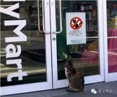 【掌上萍乡】笑多了会怀孕—不作是不会死的-怀孕期