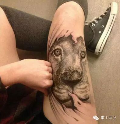 【掌上萍乡】笑多了会怀孕—妹子!还能不能安静地上个自习了!-怀孕期