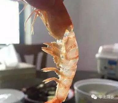 【掌上萍乡】笑多了会怀孕—妹子!还能不能安静地上个自习了!-怀孕期