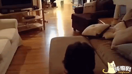 【掌上萍乡】笑多了会怀孕—洪水来了,大家要虔诚的祈祷!-怀孕期