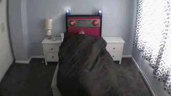 【掌上萍乡】笑多了会怀孕—洪水来了,大家要虔诚的祈祷!-怀孕期