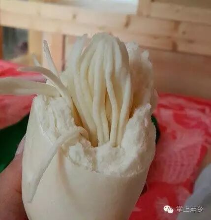 【掌上萍乡】笑多了会怀孕—洪水来了,大家要虔诚的祈祷!-怀孕期