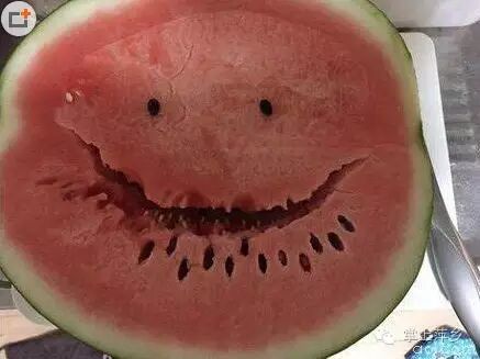 【掌上萍乡】笑多了会怀孕—洪水来了,大家要虔诚的祈祷!-怀孕期