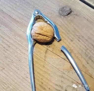 【掌上萍乡】笑多了会怀孕—让你们看看音乐的威力!-怀孕期