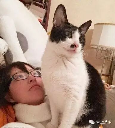 【掌上萍乡】笑多了会怀孕—妹子你淡定!这大庭广众之下…-怀孕期