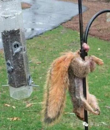 【掌上萍乡】笑多了会怀孕—你让小裤裤的脸往哪放!-怀孕期