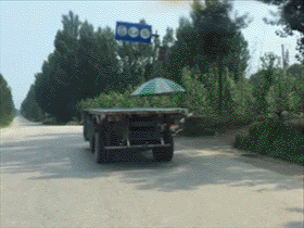 【掌上萍乡】笑多了会怀孕—你让小裤裤的脸往哪放!-怀孕期