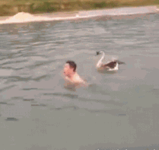 【掌上萍乡】笑多了会怀孕—你让小裤裤的脸往哪放!-怀孕期