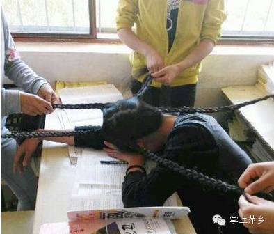 【掌上萍乡】笑多了会怀孕—家里养了两只泰迪,每天都像在看三.级.片似的-怀孕期