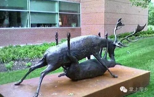 【掌上萍乡】笑多了会怀孕—我的九阳神功马上要练到第九重了-怀孕期