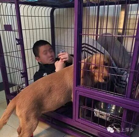 【掌上萍乡】笑多了会怀孕—我的九阳神功马上要练到第九重了-怀孕期