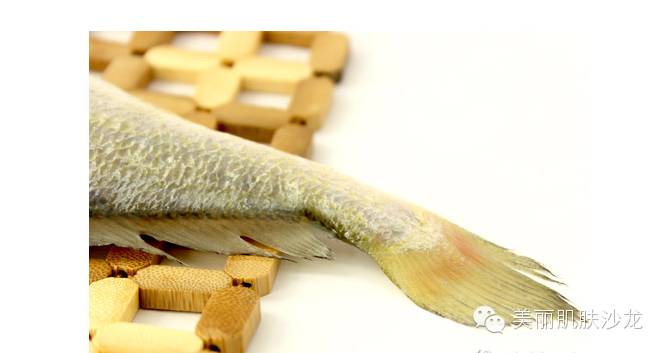 怀孕初期吃什么好?荐孕妈妈营养饮食攻略-怀孕期