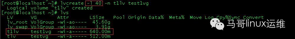 LVM详解-马哥出品_lvm_09