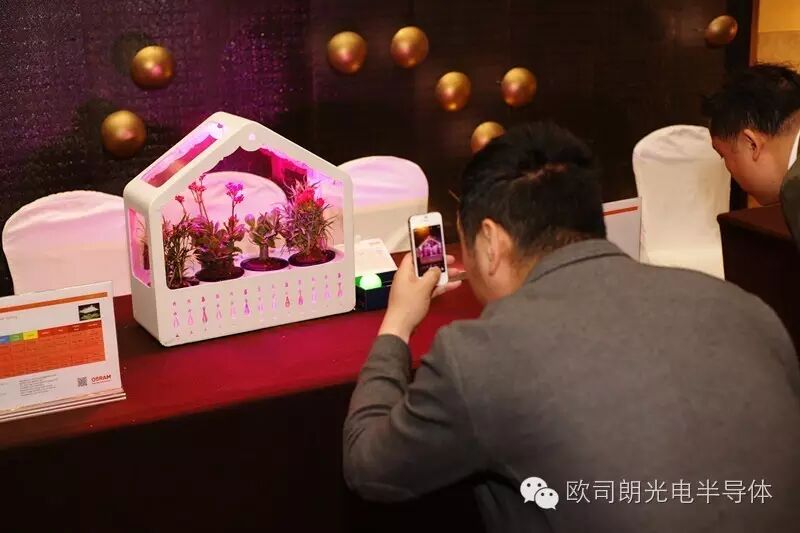 【精彩回顾】固态照明技术研讨会——上海站