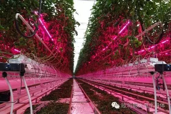 【应用案例】欧司朗以人为本的照明——彩光LED