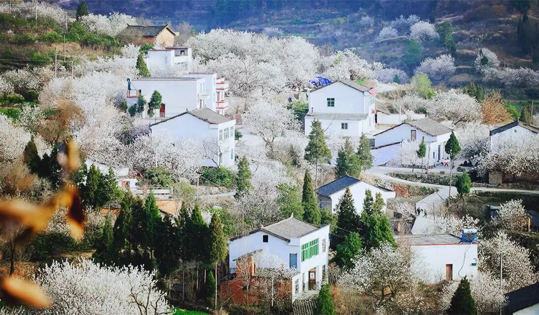 望山,看水,记乡愁,最美农村樱桃沟_部门动态_十堰新闻