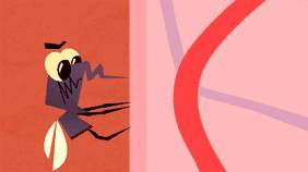 夏天蚊子这么多，教你几种快速止痒的方法插图6