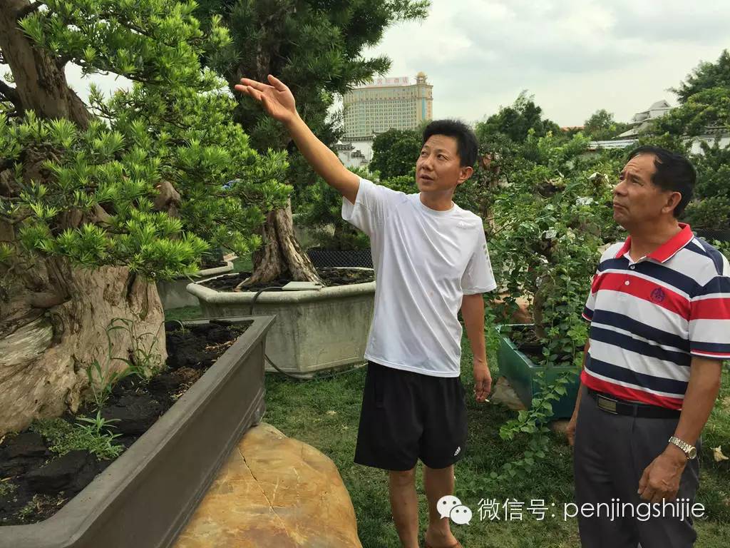 关山(左)向到访的中国盆景艺术大师谢克英(右)作详细介绍.