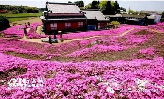 澳威全屋定制：陪伴，是最长情的告白2