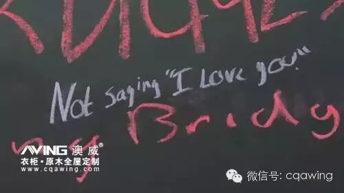 澳威全屋定制：没有告诉我爱你