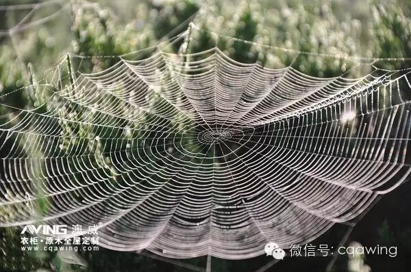 澳威全屋定制：最短的现代诗