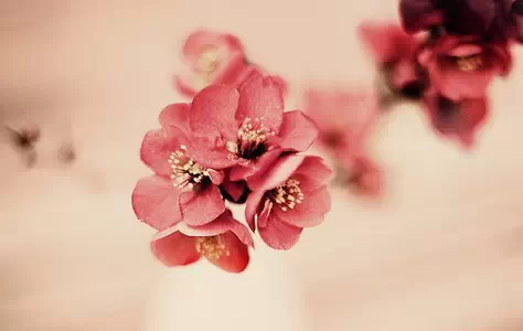 一个你爱的，一个爱你的，你会选哪一个？看完你就知道答案... 第4张