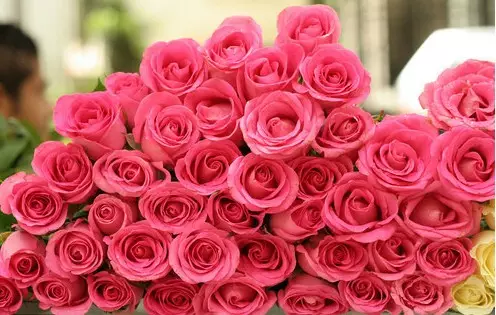 一个你爱的，一个爱你的，你会选哪一个？看完你就知道答案... 第2张