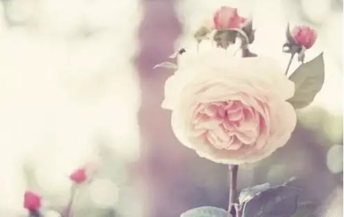 一个你爱的，一个爱你的，你会选哪一个？看完你就知道答案... 第5张