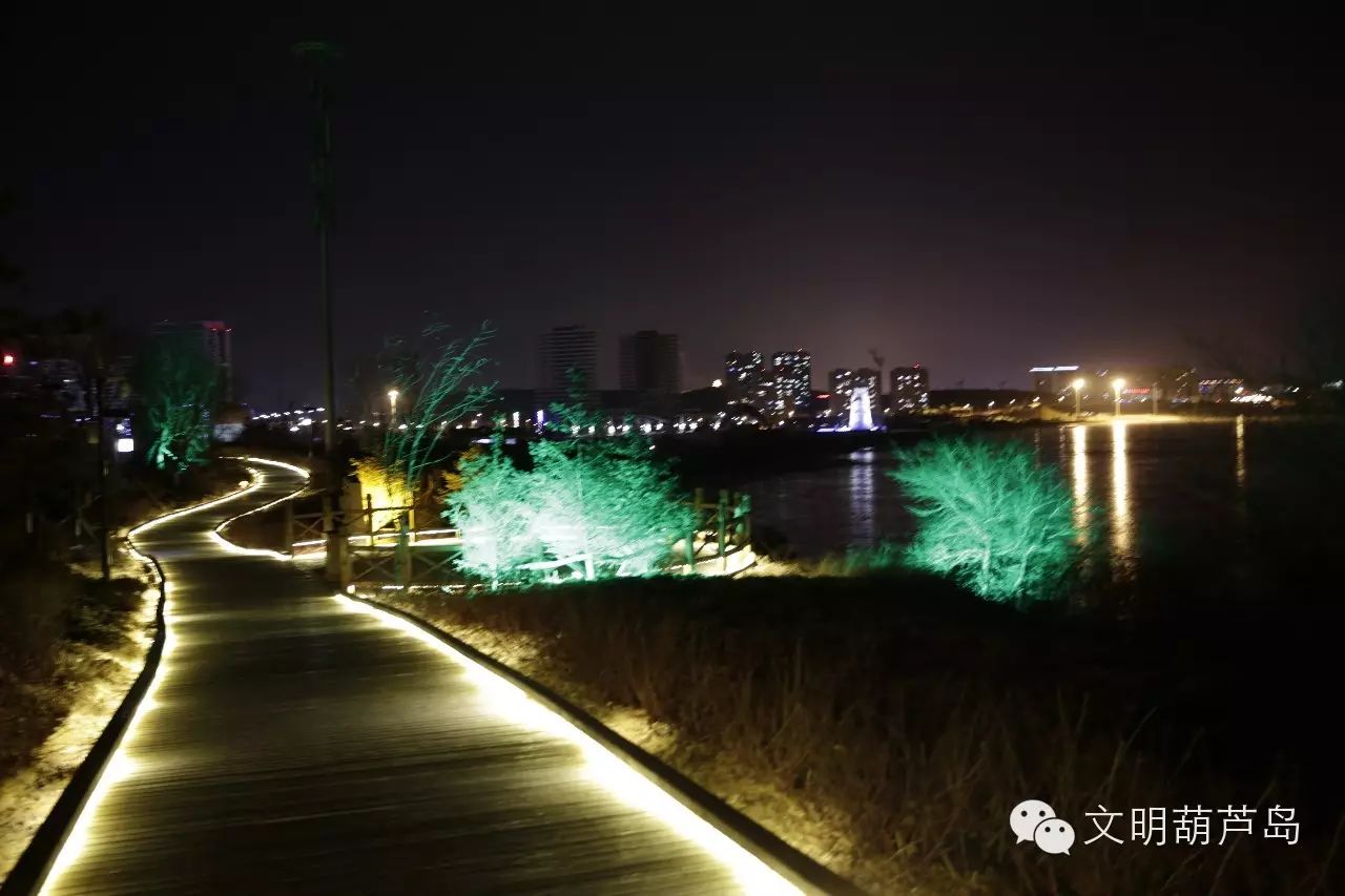 葫芦岛 冬季海滨栈道的夜色阑珊(组图)