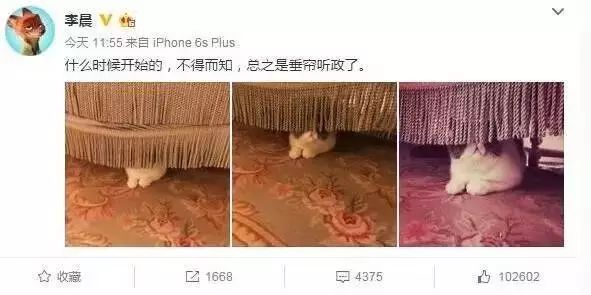 李晨晒范冰冰爱猫“垂帘听政”照 网友疑2人同居