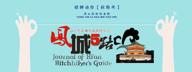 大西安的寵物寄養攻略來啦！主人不在”