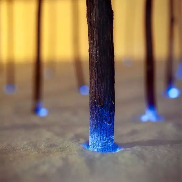 【光的空间】灵魂的灯光设计