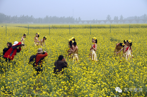 东平第三届油菜花节时间敲定4月12日(图1)