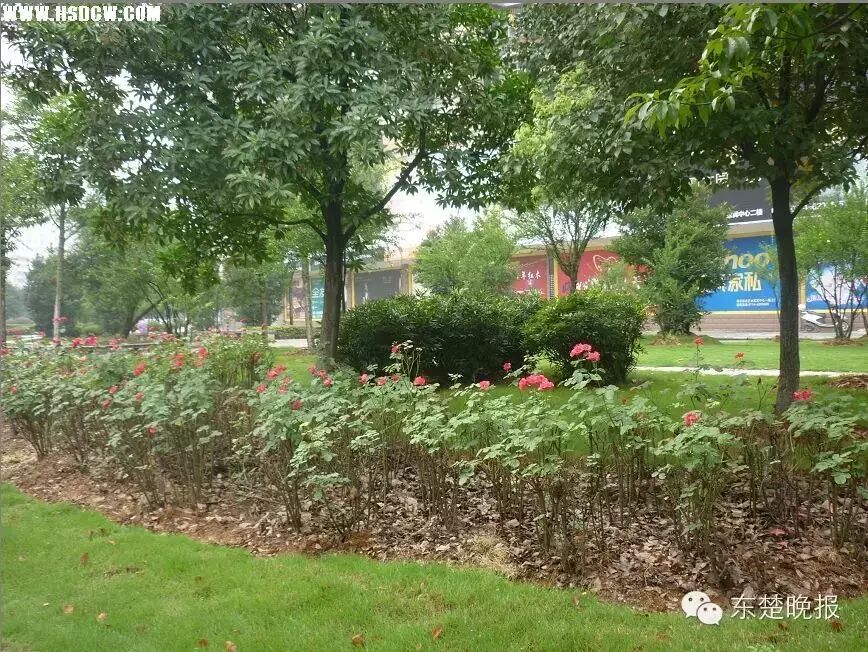 小三怀孕了,男子怕老婆知道,于是给小三支了一高招……LaLa姐-怀孕期