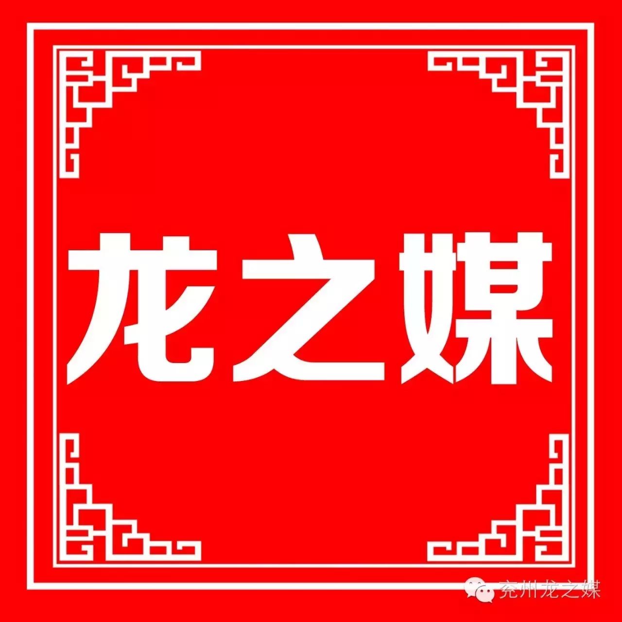 刘小光与牛