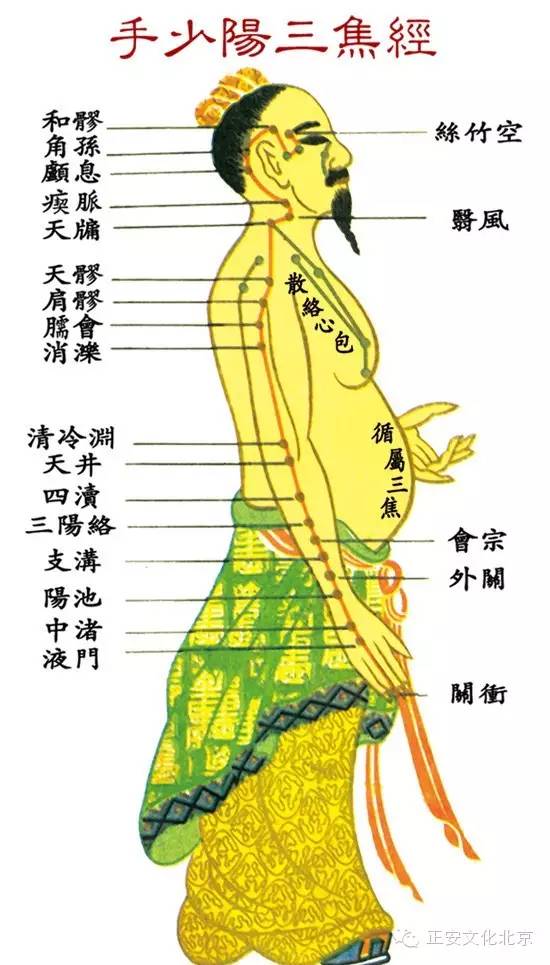 学中医很简单系列(一):十四经络歌